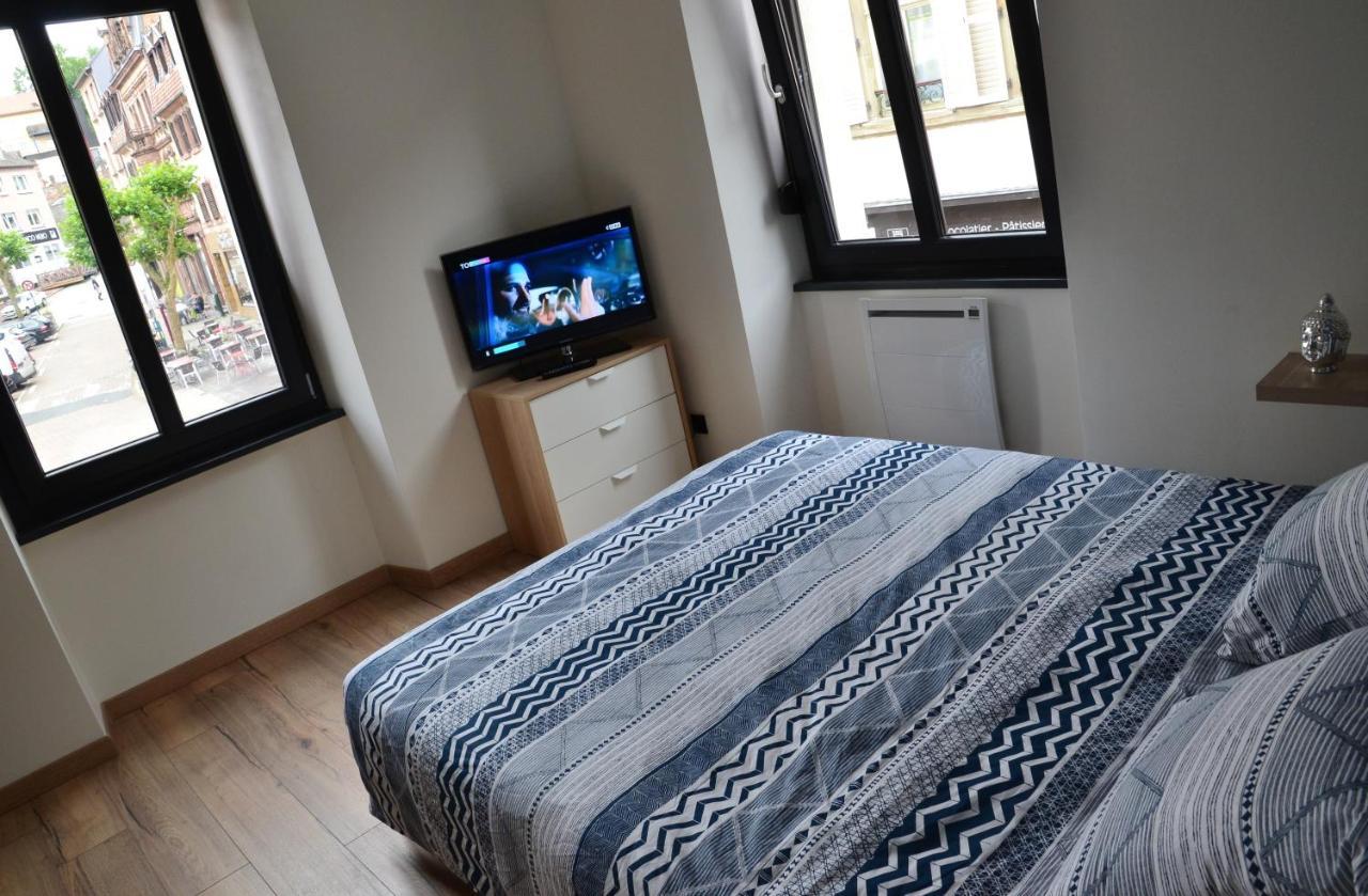 Le Cyclade, Appartement De Standing En Hyper-Centre. Sarreguemines Bagian luar foto